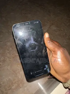 Apple iPhone 12 256 GB Black