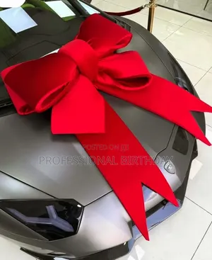 Fabric Velvet Christmas Bow, Lagos