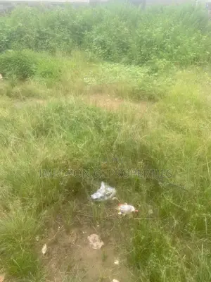 For Sale* *Size*: 100 HECTARES. *Location*: GUZAPE 2.