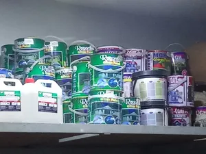 Optimal Gloss Paint
