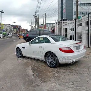 Mercedes-Benz SLK-Class SLK250 2dr Convertible (1.8L 4cyl Turbo 6M)