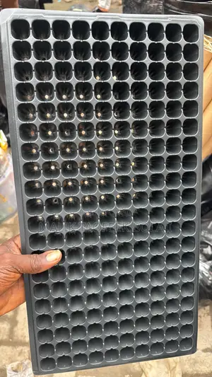 Tray Seed 128 Hole