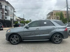 Mercedes-Benz GLE-Class GLE 350d 4MATIC 2017 Gray
