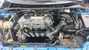 Toyota Corolla LE 4dr Sedan (1.8L 4cyl 4A) 2010 Blue