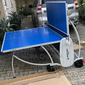 Commercial Outdoor Table Tennis  Set