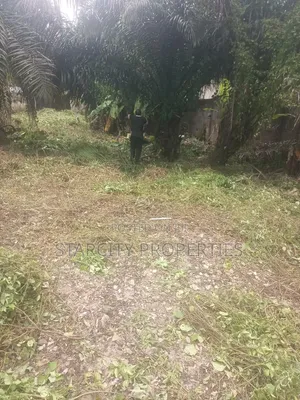 Acres of Fertile Land for Rent in Epe Lagos in a Well Secured Area