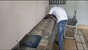 Carpet Washing