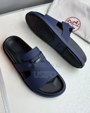 Premium Hermes H