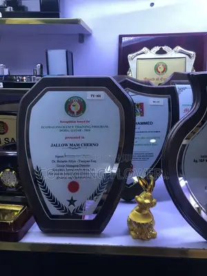 Awards and Plaque