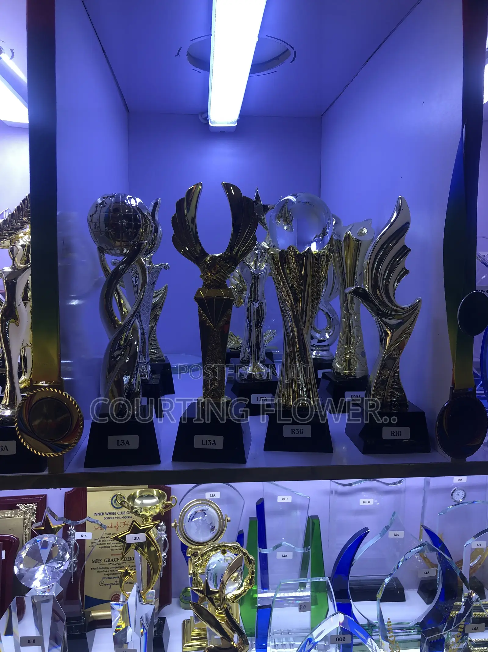Awards and Plaque