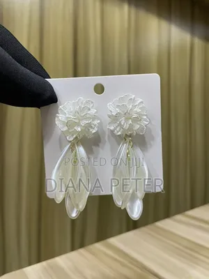 Earrings and Accessories