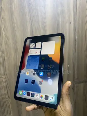 Apple iPad mini 6 256 GB Gray