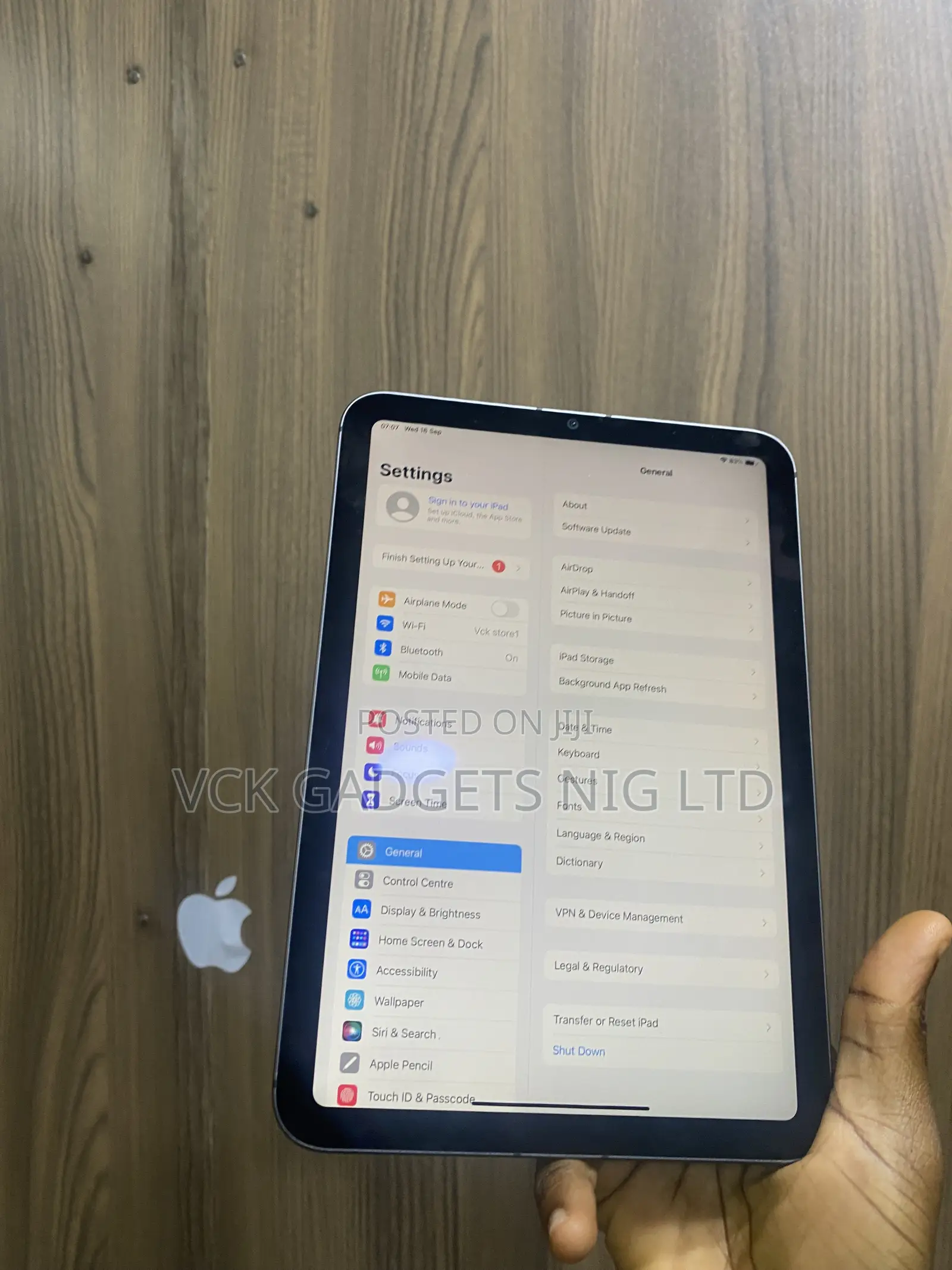 Apple iPad mini 6 256 GB Gray