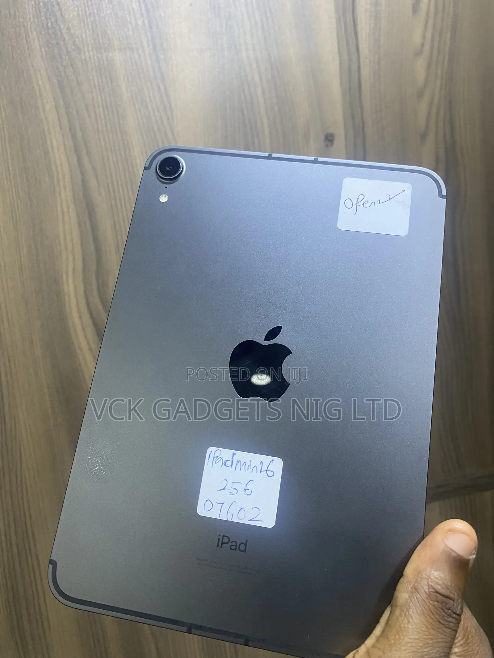 Apple iPad mini 6 256 GB Gray