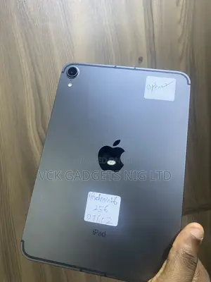Apple iPad mini 6 256 GB Gray