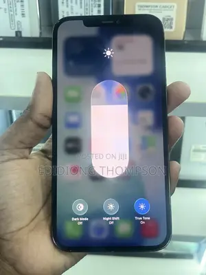 Apple iPhone 12 Pro Max 256 GB Blue