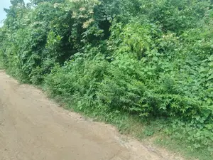 Commercial Land