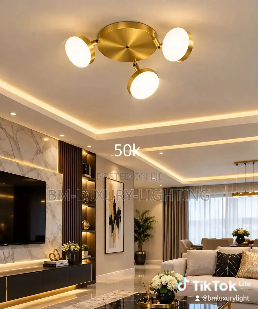 Nordic Ceiling Chandelier for Living Room