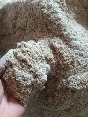 Rice Husk.