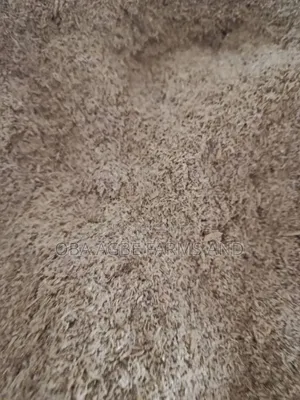 Rice Husk.