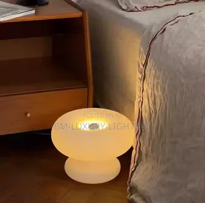 Simple Style Indoor Floor Lamp