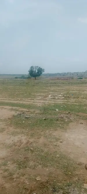 Prime Estate Land for Sale