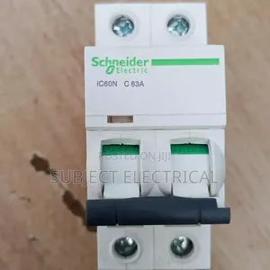 Schneider 63A 2-Pole MCB Circuit Breaker