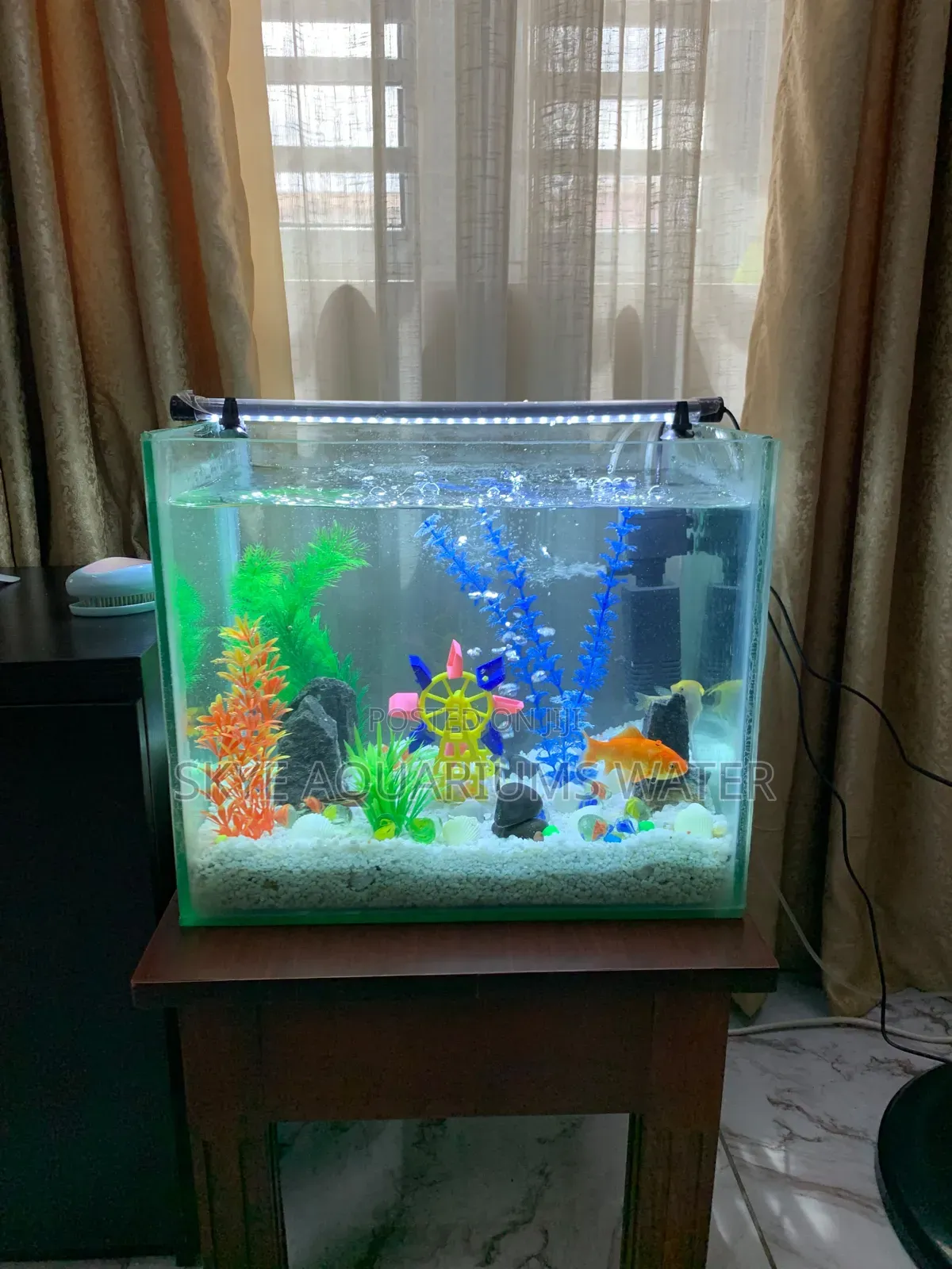 Nano Aquarium