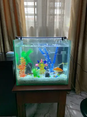 Nano Aquarium