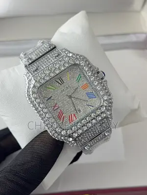 Cartier Ice Watch