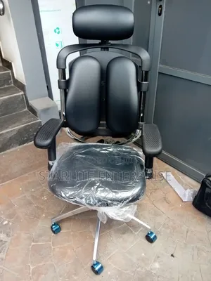 Executive ERGONOMIC Chair