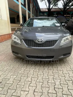 Toyota Camry 2009 Gray
