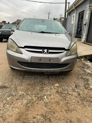 Peugeot 307 1.6 Grand Filou Cool 2008 Gold