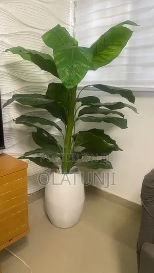 Flower Vases