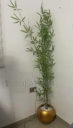 Flower Vases