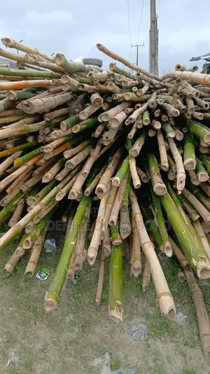 Bamboo for Decking