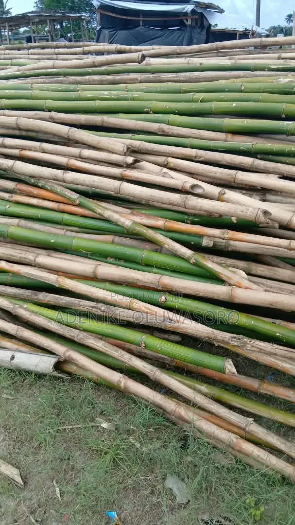 Bamboo for Decking