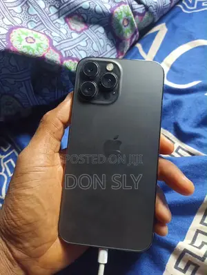 Apple iPhone 13 Pro Max 256 GB Black