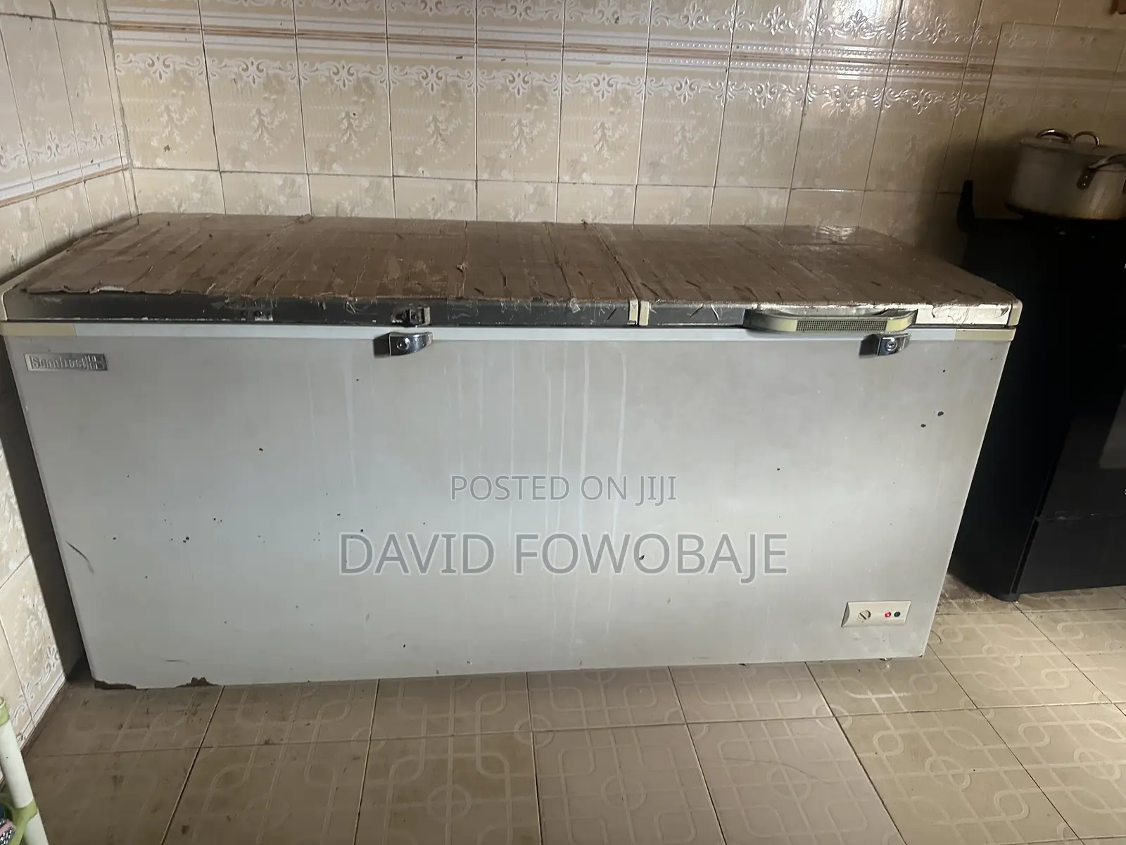Scanfrost Freezer