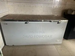Scanfrost Freezer