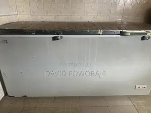 Scanfrost Freezer