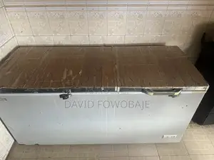 Scanfrost Freezer