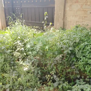 300sqm of Land Located at Agbani Road for Sale