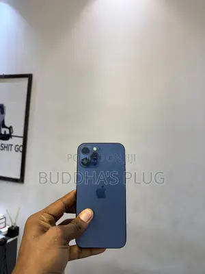 Apple iPhone 12 Pro Max 256 GB Blue