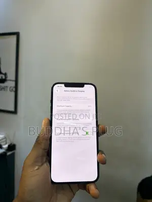 Apple iPhone 12 Pro Max 256 GB Blue