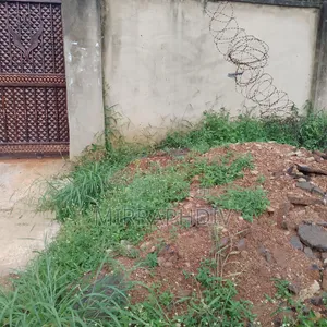 2 Plots of Land at Agbani Road for Sale