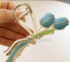 Fancy Hair Clip