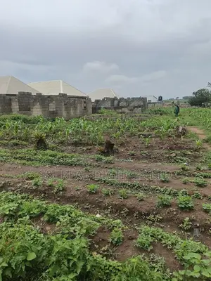 2,391 SQM Land in Maitama Main