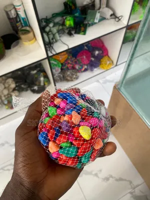 Color Stone, Pebbles and Shells