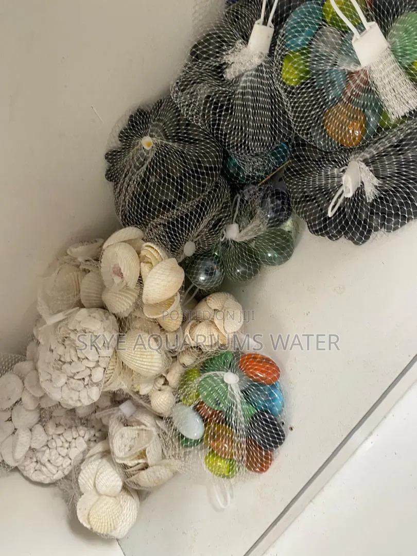 Color Stone, Pebbles and Shells